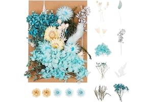 gerFogoo Natrliche Getrocknete Blumen,DIY Gepresste Gemischte Echte Getrocknete Blumen fr Kunst Bastel,Wohndekoration,Blten Trockenblumen,Harz Kerze Scrapbooking Handwerk Machen(Blau)