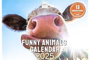 Funny Calendar 2025 Animals - Space For Notes Across 13 Months. Beautiful Images Of Funny Animals. Recyclable 2025 Calendar Printed in UK by Ruby Ashley®