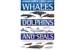 Whales, Dolphins and Seals: A field guide to the marine mammals of the world (Bloomsbury Naturalist)