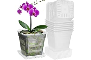 IWTTWY Lot de 8 Pots à orchidée Transparents de 15 cm en Plastique avec Trou de Drainage et Plateau - Contrôle des Racines - Pots de semis pour orchidées, lys de la Paix, Plante Serpent (carrés