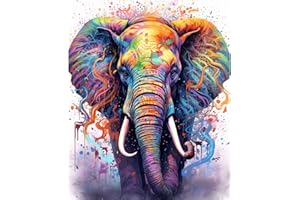 WALARKY Paint by Number for Beginner Colourful Elephant Oil Painting Kits on Canvas Easy to Paint Artwork with Brushes Acrylic Pigment Digital Painting for Home Wall Decor 16x20inch (Frameless)