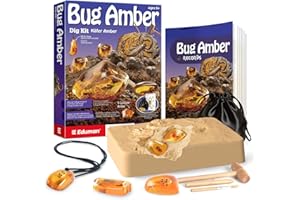 EDUMAN Set di Scavi in Ambra per Bambini, Esperimenti di Scavo di Fossili per Bambini a Partire da 6 Anni, Accessori per Scavi, Regali Giocattolo per Ragazzi e Ragazze(Insetti)