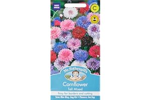MR FOTHERGILLS Mr Fothergill?s Seeds Ltd 11051 Mr Fothergill's Cornflower Tall Mixed