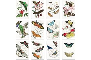 Berkin Arts 12 klasycznych kartek okolicznościowych na każdą okazję, karty podarunkowe, zestaw z 12 kopertami, kwiatowy kwiat, motyl, różne wzory, karty współczucia, karty na baby shower, kolorowe