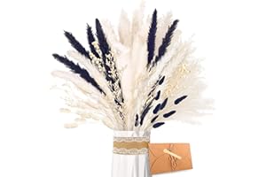ZJTAPE Pampas Secas Decoracion - Hierba Natural de Pampas Secas, Hierba de Pampa Negro Blanca Frondas Esponjosas, Ramo de Flores secas para Mesa de Boda, decoración del hogar Boho