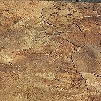 Terra Exotica Zierkork-Rückwand 60 x 30 cm Desert, Kork Rückwand, Korkrückwand, Zierkorkrückwand