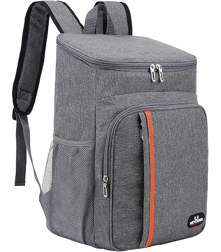 Borsa Frigo 35L Pieghevole In Tessuto Oxford Grigio, Con Tracolla Removibile, Per Picnic, Campeggio E Ufficio