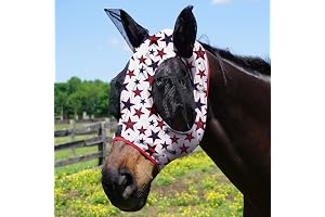 DreamStar