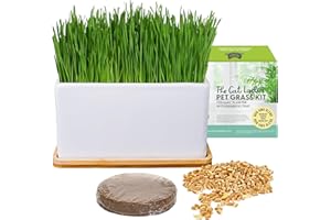 The Cat Ladies Hierba Gatera para Gatos - Kit Hierba para Gatos con Semillas Hierba Gatera para Interiores con 1x Disco de Tierra y 1x Maceta con Bandeja Bambú - Set Hierba Gatos