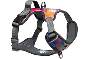 EMBARK PETS Embark Urban Dog Harness, No Pull Dog Harness with 2 Leash Clips, Dog Harness for Small Dogs anti pull dog harness Front & Back with Control Handle, Adjustable, Soft & Padded |Puppy Harness|