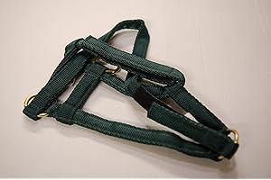 IV Horse Wee Pony Safety Turnout Headcollar