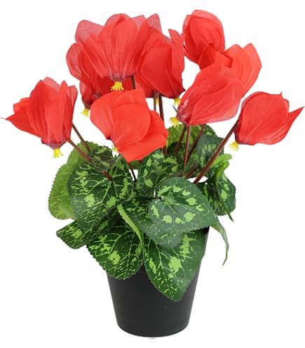 Amazon.de: Seidenblumen Ro Alpenveilchen 36cm rot im Topf ZF knstliche  Blumen Kunstpflanzen Kunstblumen Cyclamen
