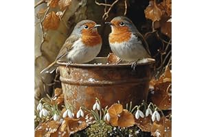 MEIYUDA Diamond Painting Art Cute Bird, 5D Diamond Painting Kits for Adults Kids Wall Art, Diamond Painting Kit DIY Gem Crystal Art for Home Wall Decor 30x30cm