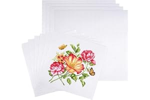 AETHERAURORA 10 Stück Weiße Kreuzstich Stoff zum Sticken Baumwolle 30×30cm und 20x20 cm Stickstoff zum Sticken Stoff 11CT Steifigkeit Waschbar für DIY Basteln Handwerk Näharbeit und Kreativen Handarbeiten