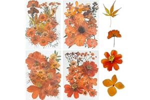 Woohome 85 Pz Naturales Flores Prensadas Secas, Naranja Hojas Prensadas Secas Naturales, Flores Secas Reales para Resina Scrapbooking, Joyería de Resina Epoxi