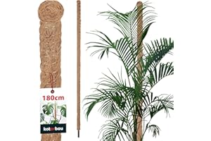 KOTARBAU® Moosstab für Monstera Kokos Natural ⌀ 3,2 x 180 cm Pflanzenstab Rankhilfe für Monstera Pflanzen Kokosstab Pflanzstab Rankstab Moss Pole Monstera Rankhilfe Blumenstab Moss Stab
