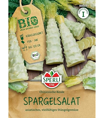 Bio Spargelwurzeln Jersey Knight - 10 Kronen, 2 Jahre Alt, Gentechnikfrei