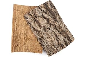 WVU & WVO 2 Piezas de Fondo de Corteza de Corcho, Corteza de Corcho Natural, para Reptiles, Tanque, telón de Fondo, Reptiles, Escalada, Pared, terrario, Accesorios de decoración, 20 x 30cm