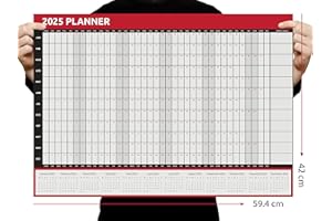 Evelay Calendario da parete 2025, formato A2 (59,4 cm x 42 cm), visualizzazione annuale, per casa, ufficio, lavoro e scuola
