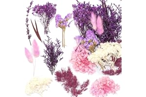 Jrzyhi Natürliche Getrocknete Blumen trockenblumen bunt natürliche getrocknete Wild Blumen trockenblumen Set für Kranz trockenblumen zum basteln für DIY Basteln Handwerk Epoxidharz Scrapbooking Deko