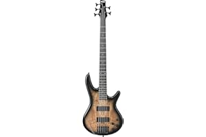 Ibanez GSR205SM-NGT Bajo eléctrico de 5 cuerdas, Natural Grey Burst