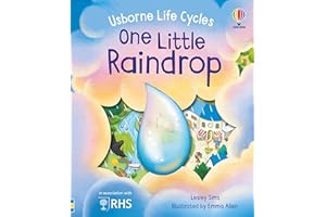 One Little Raindrop (Life Cycles)