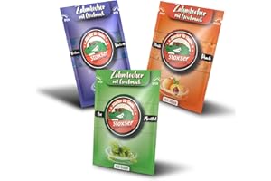 ‎STOXSER Stoxser 450x Zahnstocher mit Geschmack 3er Pack Blaubeere und Pfirsich und Mint/Menthol Geschmacksrevolution Zahnstocher Geschmack Kein Kaugummi Unterstützend zu Zahnpasta Zahnseide Zuckerfrei