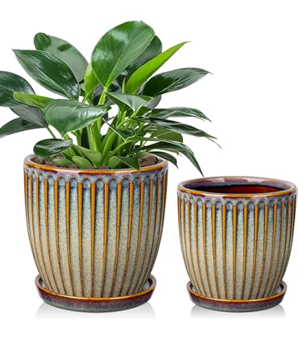 Oairse Vaso In Ceramica Per Piante Grasse Con Sottovaso | Diametro 13 Cm Con Foro Di Drenaggio | Verde Sfumato | Per Interni Ed Esterni - 3