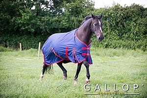 Gallop Trojan Classic 200g 600d Turnout Rug Navy/Red Code-700