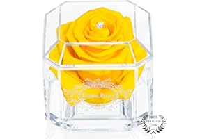 A 100% Real Rose That Lasts Years - Eternal Petals, Handmade in UK – White Gold Solo with A Multicolor Crystal (Yellow)