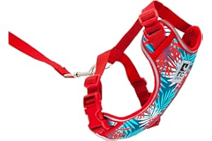 RC PET PRODUCTS RC Pets Adventure Kitty Harness, Cat Walking Harness, Small, Maldives
