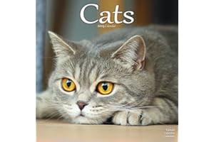 Cats Calendar 2024 | Square Cat Wall Calendar - 16 Month