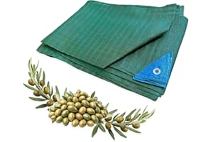 KOMBO Garden - Telo Raccolta Olive Antispina in HDPE 85 gsm con Occhielli e Taglio Centrale 4x6 MT – Trama Rinforzata Antistrappo, Stabilizzato UV, Colore Verde Scuro