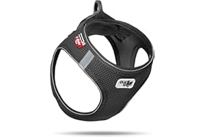 Vest Harness D-Ring Buckle Black M