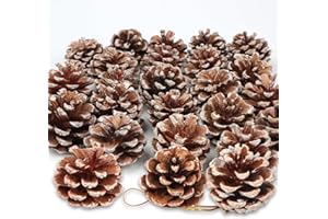LARBER 24 Piezas Conos de Pino Navidad Pintura Blanca Piñas de Pino Colgante de Cuerda Conos de Pino Seco Naturales Acción de Gracias del hogar Casa Fiesta Regalo Boda Árbol Navidad Decoración otoño Invierno