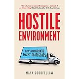 Hostile Environment: How Immigrants Became Scapegoats