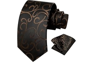 HISDERN Cravatte uomo Paisley Floreale Cravatta Fazzoletto Set Matrimonio Cravatte da uomo & Pocket Square