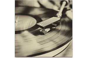 Paul Sinus Art Vinylrekorder – RetroLeinwandbild quadratisch 60x60cm