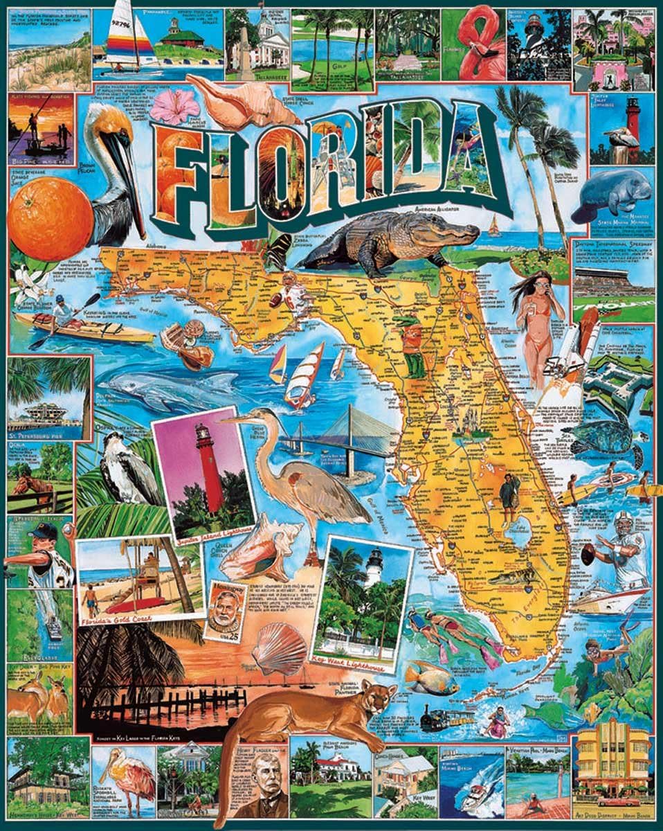 White Mountain Puzzles Florida - 1000 Piece Jigsaw Puzzle by White Mountain Puzzles