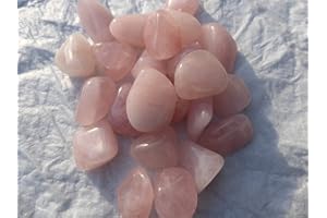 GEOFOSSILS Rose quartz tumble stone (20 – 25 mm). Pack of 5