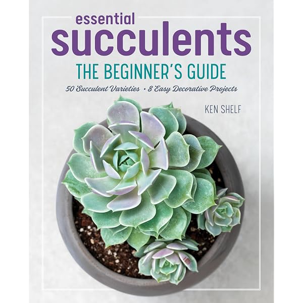 The Complete Book of Cacti & Succulents : Hewitt, Terry: Amazon.in