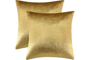 Gigizaza Kuddfodral i sammet i 2-pack, set med fodral för prydnadskudde för soffa, sovrum och bil