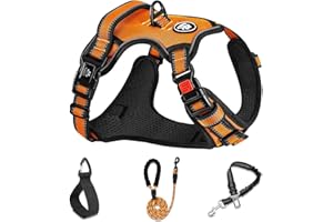 NESTROAD Pettorina ad h per Cane Antifuga Taglia Media Arancione, Imbracatura Cane Anti Tiro per Cani con Collo 33~43CM Petto 43~64CM, Cintura Sicurezza Cani Auto, Accessori Cani Essenziali