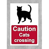 Eye Wash Safety Sign - 1mm Plastic Sign - 600mm X 400mm On OnBuy