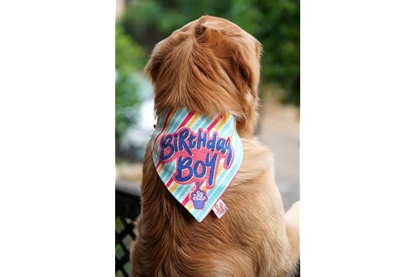 Lana Paws Adjustable Birthday Boy Dog Bandana/Scarf (M-L)_Pack of 1, Multicolor