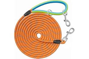 Aystkniet Longe pour Chien, 5M 10M 15M 20M 30M Laisse de Dressage avac Crochets Pivotants aux Deux Extrémités, Longue Laisse Corde d'attache pour Petits, Moyens, Grands Chiens (Orange, 20M * 8MM)