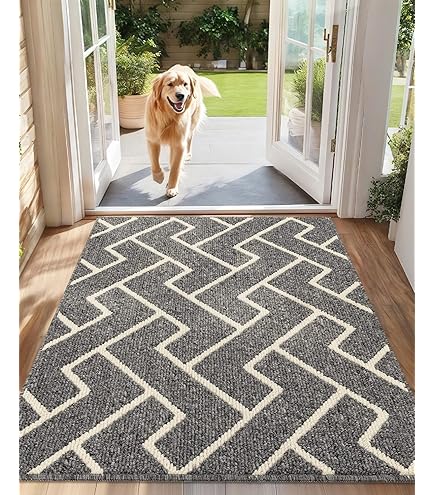 Mizuosre Deurmat voor binnen, wasbaar, antislip, voetmat voor binnen, dunne vuilvangmat, voor binnen, buiten, entreemat met waterabsorberend, voor binnen en buiten, hond en huisdeur, beige, 80 x 120
