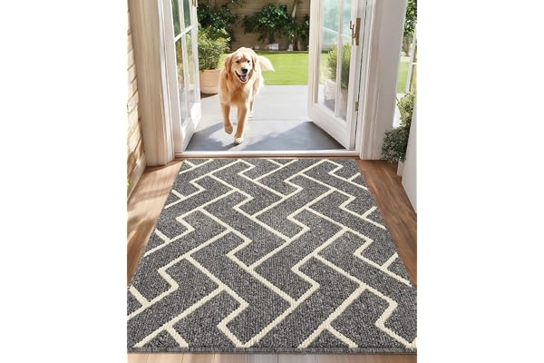 Biscpro – Paillasson d'intérieur absorbant avec envers antidérapant, pour entrée, cuisine, porte avant et arrière, pour animaux domestiques et jardin, 80 x 120 cm (gris)