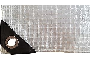 COST WISE Clear & Reinforced Tarpaulin/Ground Sheet/Fly Sheet,builders tarp,garden dry cover,winter plant cover up (2m x 4m)
