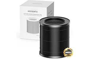 MORENTO MR2566 Filtro dell'aria di ricambio originale per purificatore d'aria, versione originale, confezione da 1